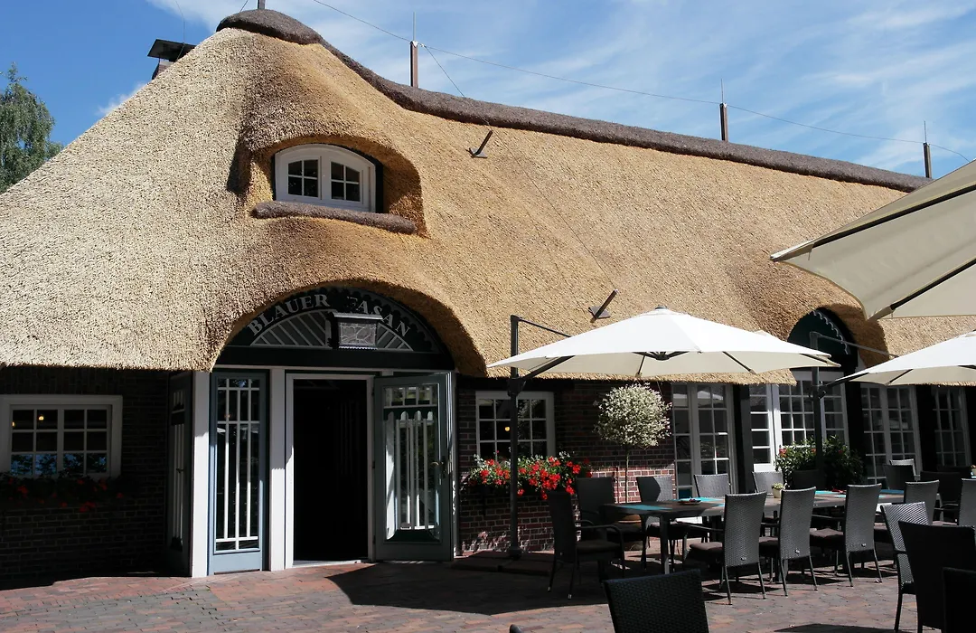 Hotel Blauer Fasan-1