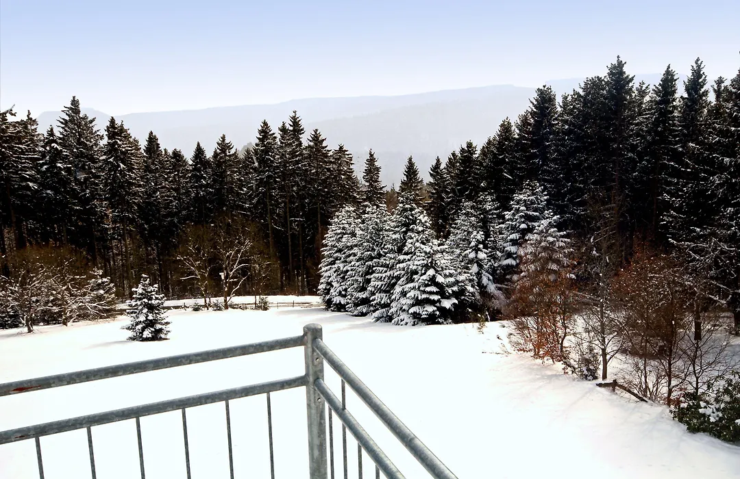Appart-Hotel Harmonie-1