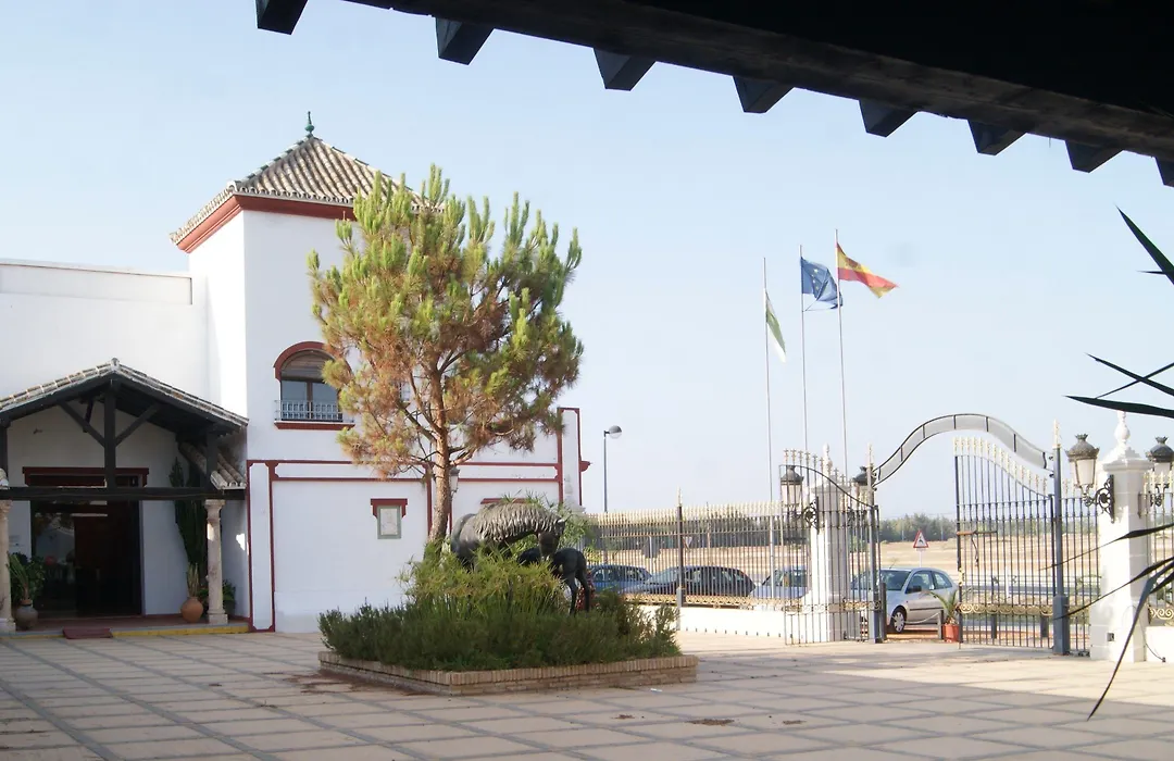Pequeño Rocio-1