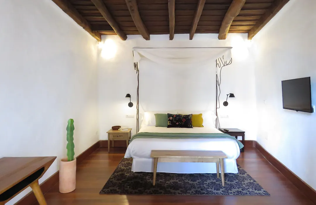 Hotel Boutique Palacio Ico - Only Adults-1