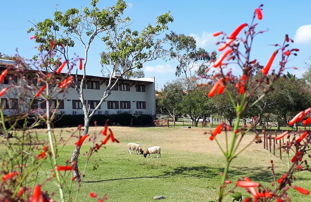 Hotel Fazenda Portal de Gravatá-1