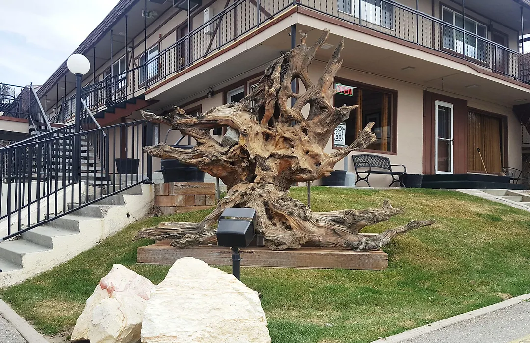 Bristlecone Motel-1