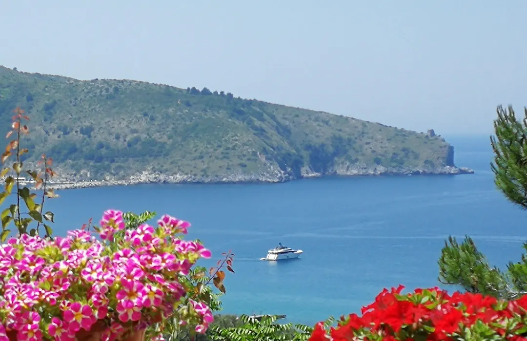 Il Sogno di Vincenzo e Maria-1