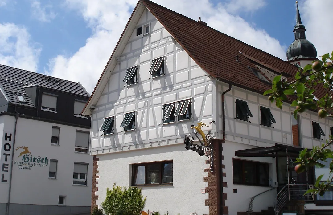Hotel - Restaurant Hirsch-1