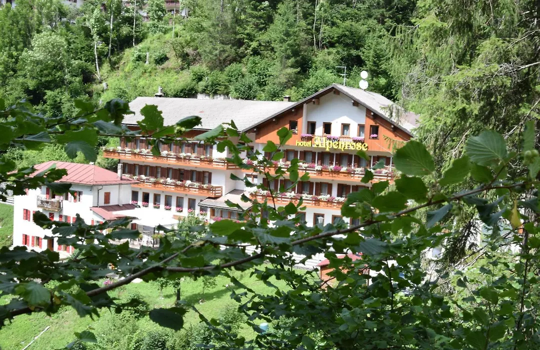 Hotel Alpenrose-1