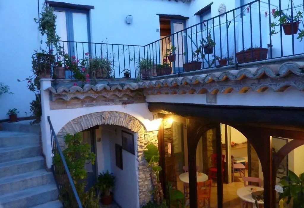 B&B Amphisya-1