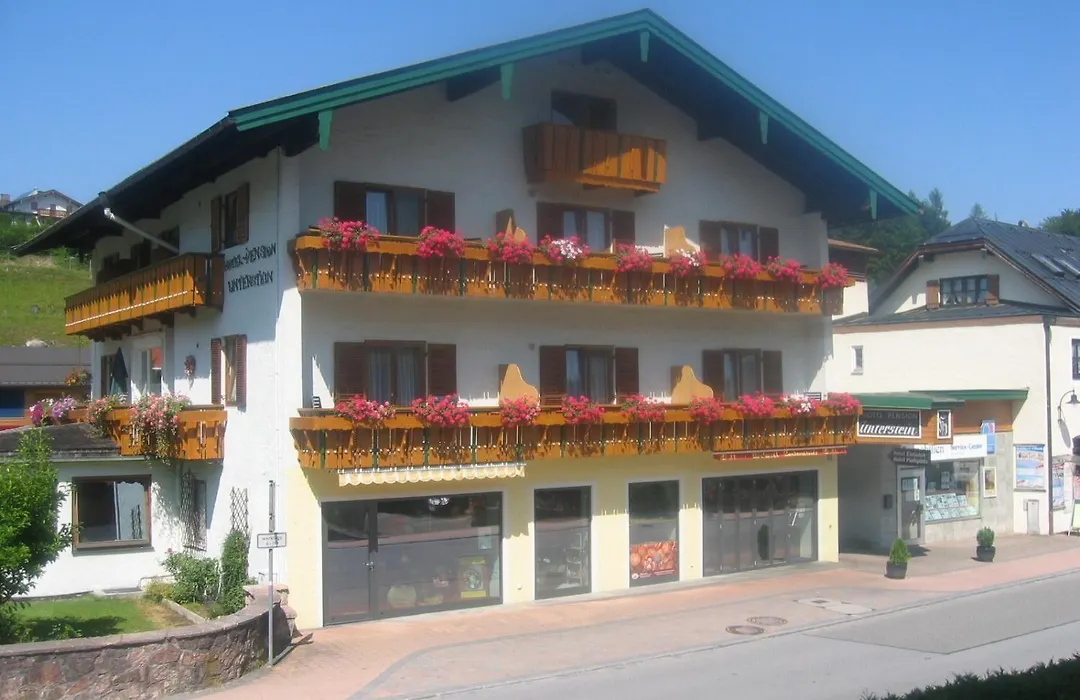 Pension Unterstein-1