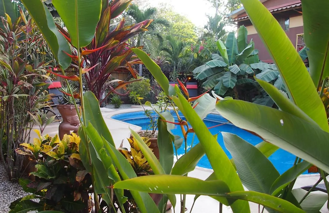 Samara Palm Lodge-1