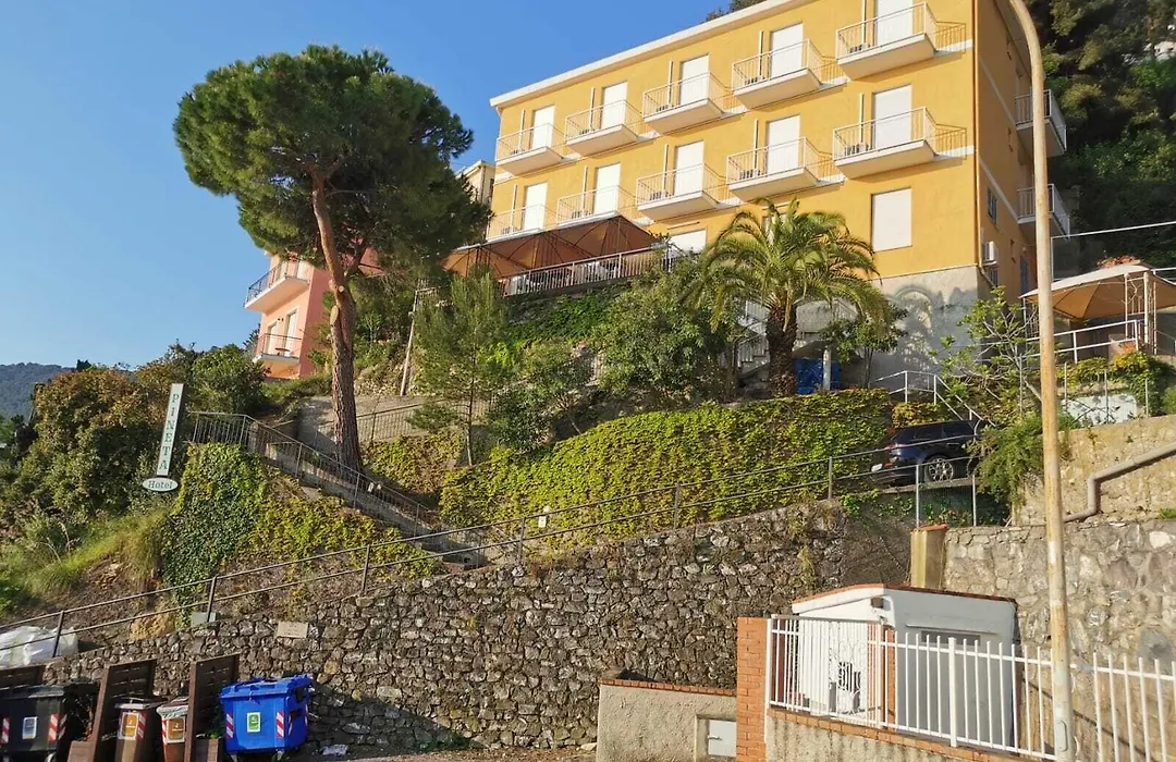 Hotel Pineta-1