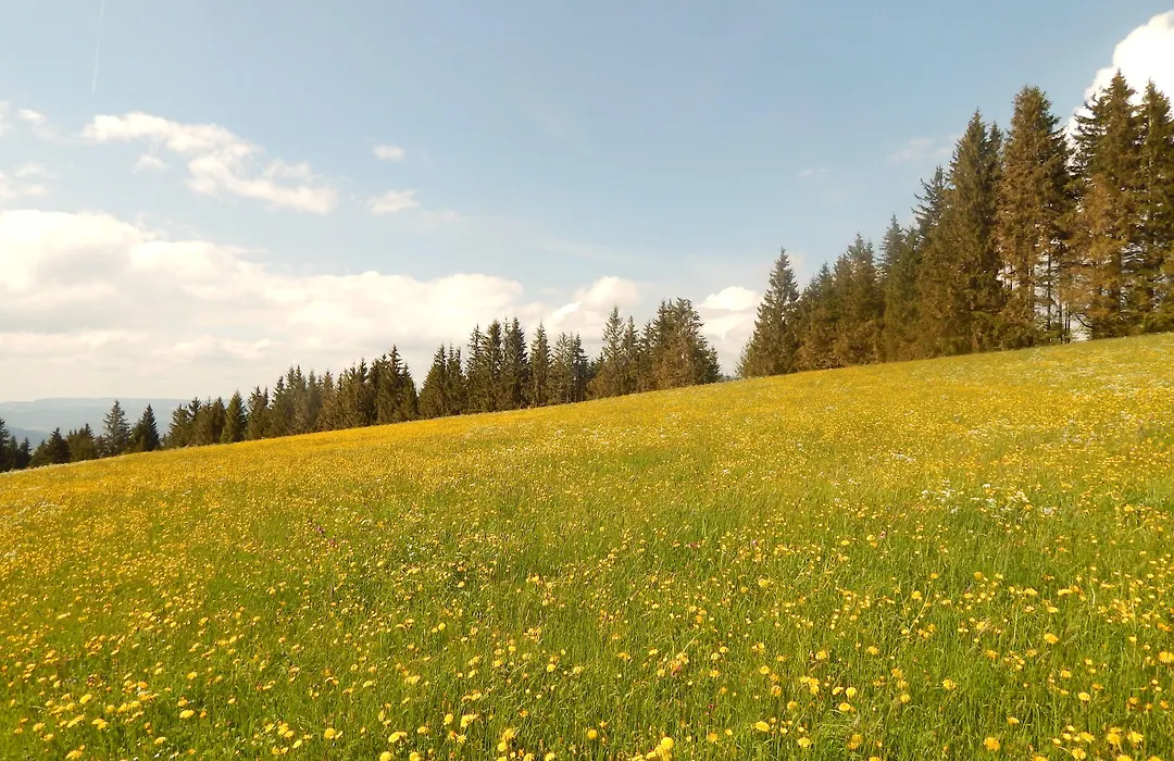 Berggasthof Sonne Allgaeu-1