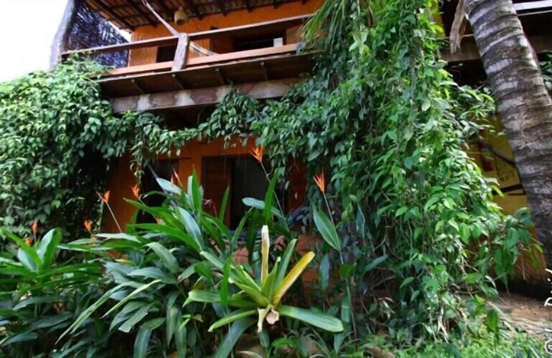 Pousada Bambu Brasil-1