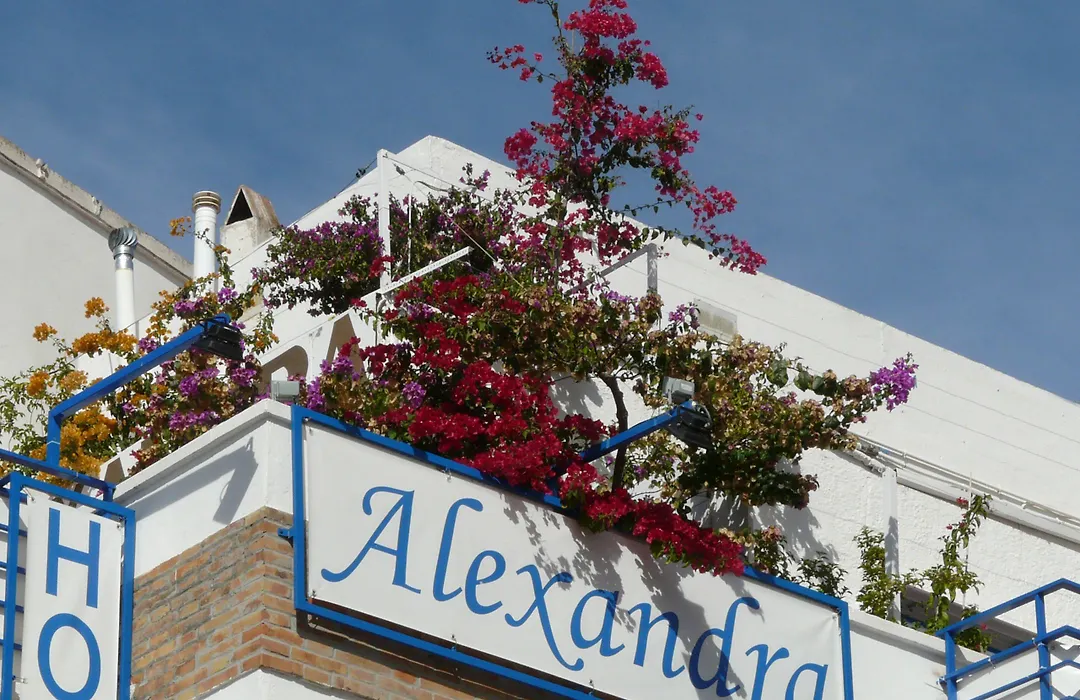 Hotel Alexandra Sitges-1