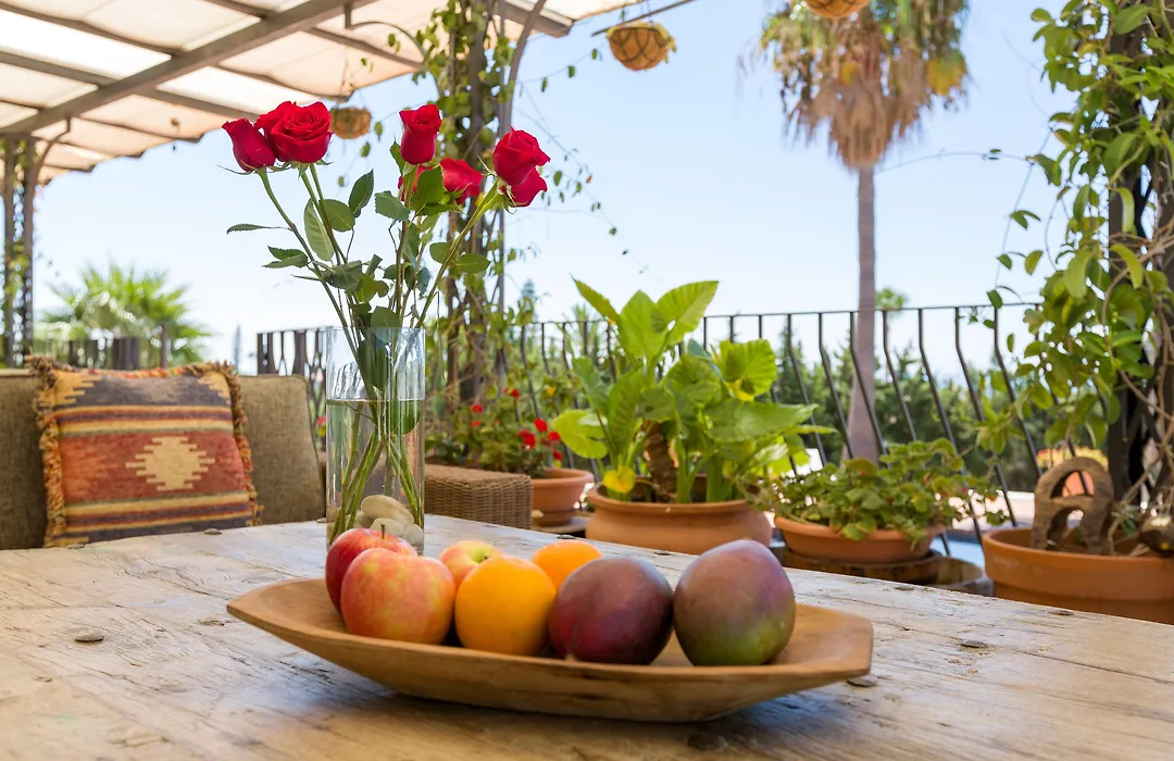 Cortijo Boutique Marbella-1