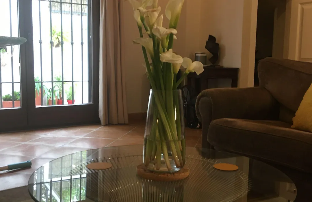 Casares Village Bed & Breakfast (Adults Only)-1