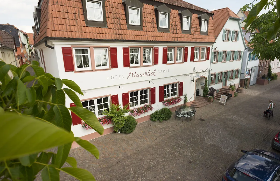 Hotel Mainblick Garni-1
