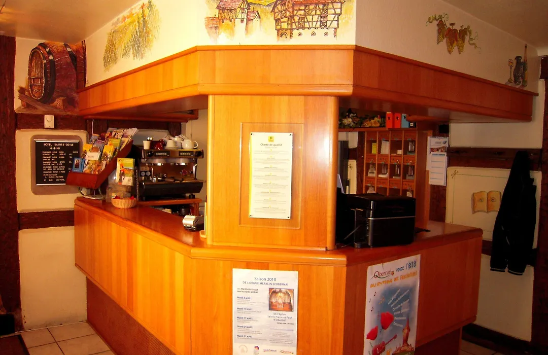 Hôtel Sainte Odile-1