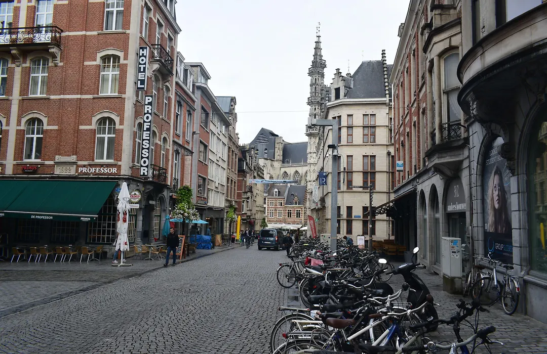 Hotel Professor Leuven Centrum-1