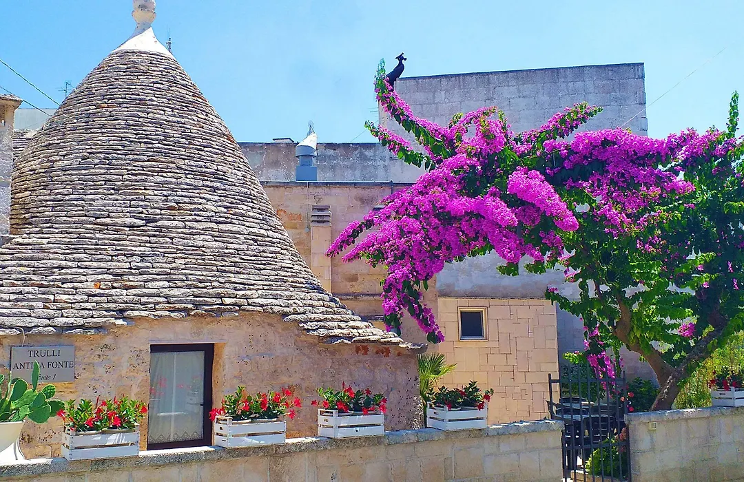 Trulli Antica Fonte-1