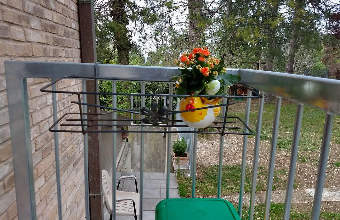 B&B Il Torchio-Urbino-1
