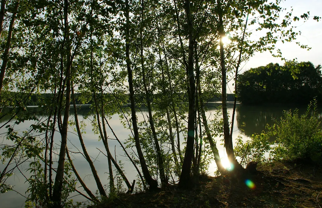 Waldhotel zum Bergsee Damme-1