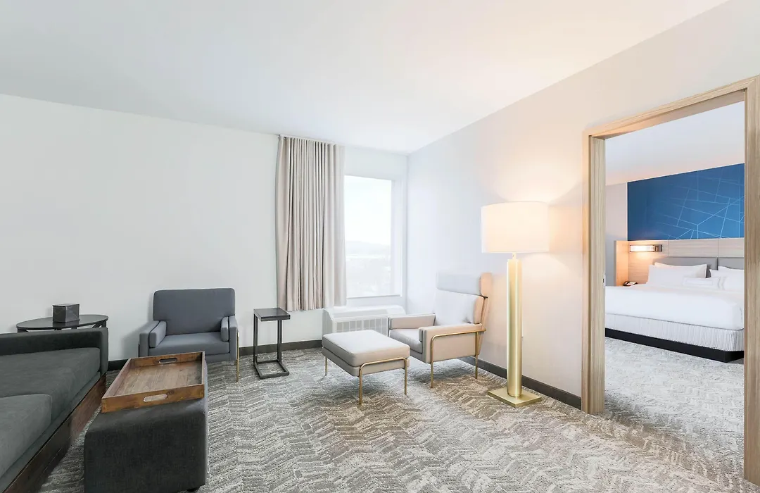 Springhill Suites By Marriott San Jose Fremont-1