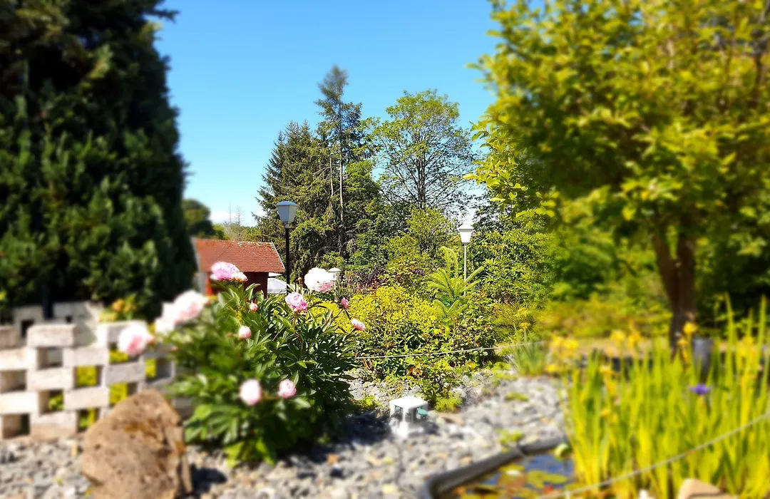 Hotel Schneiderhof-1