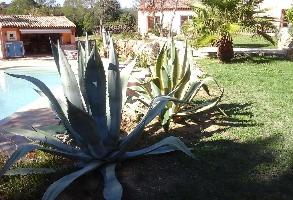 Mas des Lys-1