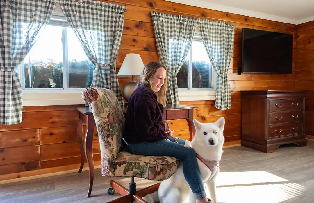Senator Inn & Spa-1
