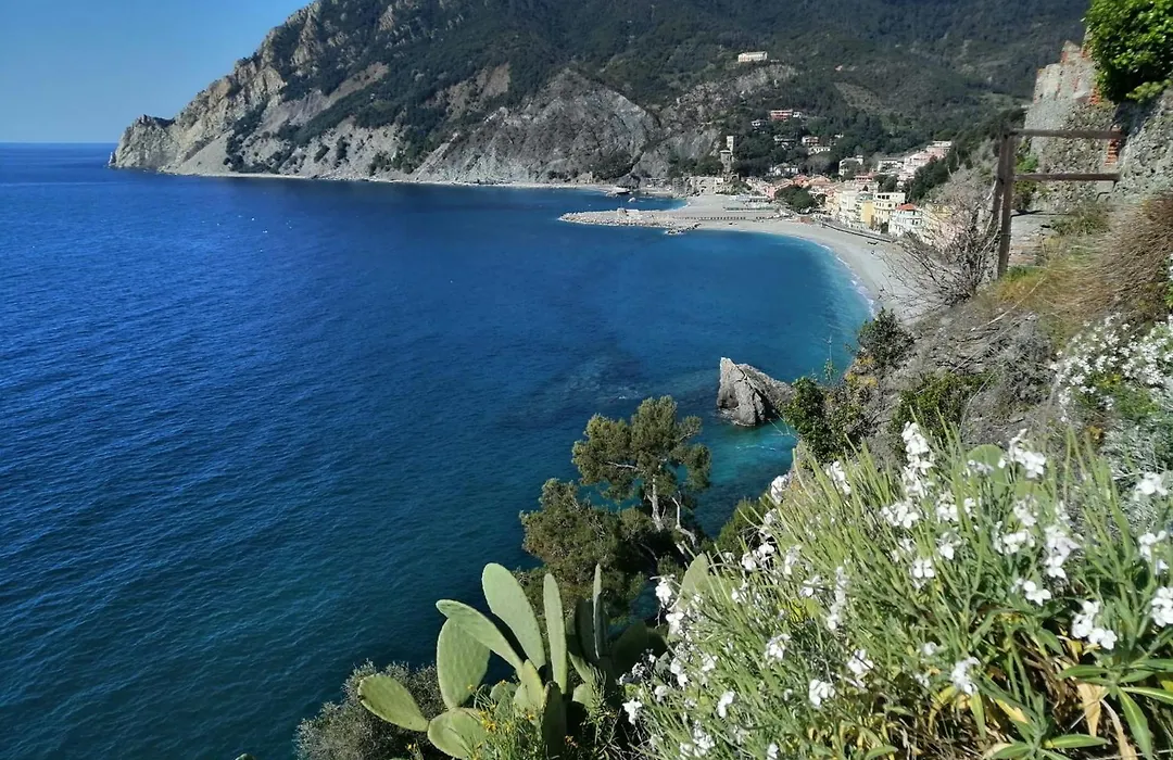 Affittacamere Monterosso 5 Terre-1