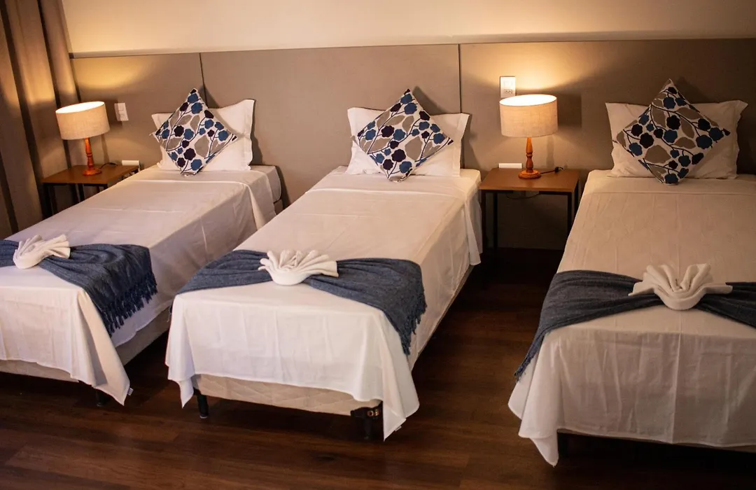 Hotel Pousada Arcádia Mineira-1