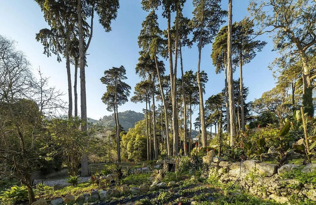 Sintra Marmoris Palace-1