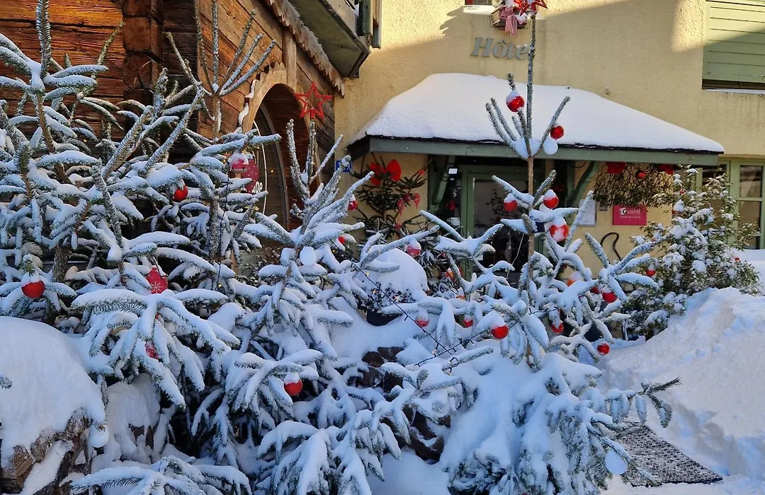 Lodge Hotel Les Rousses-1