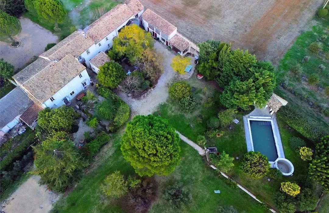 Justin De Provence-1