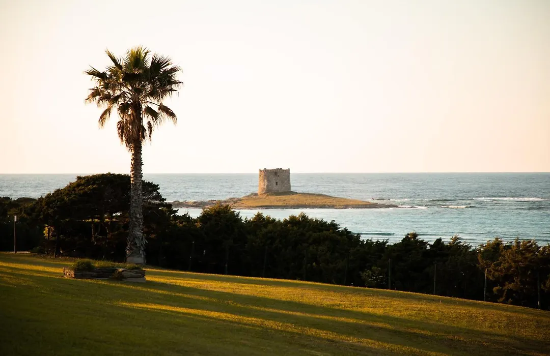 Rocca Ruja Vip-1