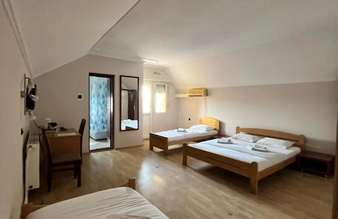 Guest House Vila Bor-1
