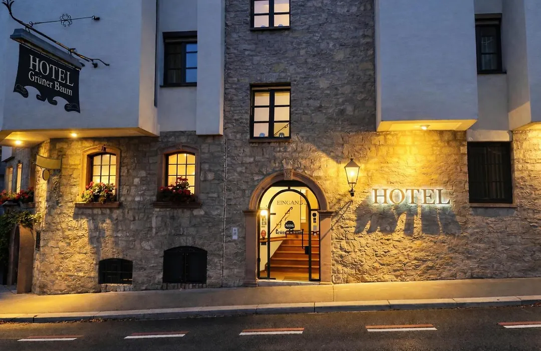 Hotel Grüner Baum-1