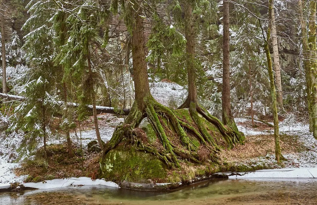 Amselgrundschlösschen-1