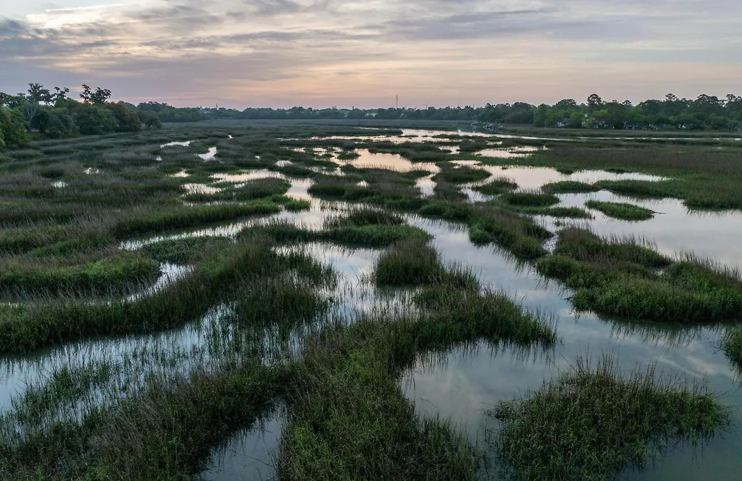 Hampton Inn Beaufort-1