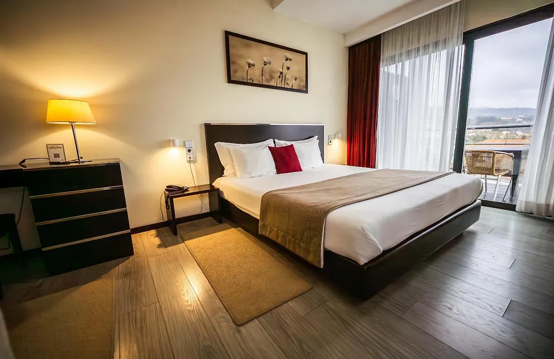 Hotel Sao Pedro - Arouca-1