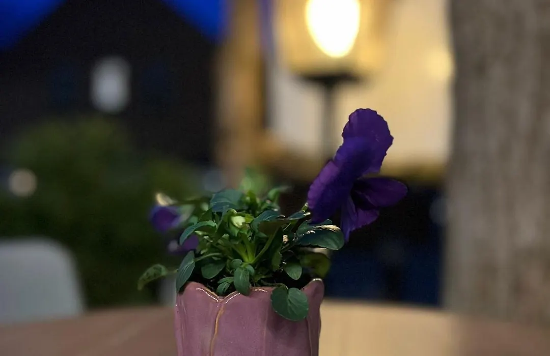 De Gastrolounge-1