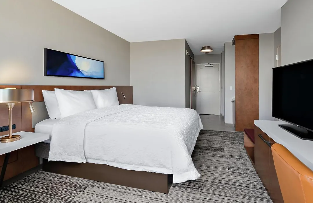 Hilton Garden Inn Chicago Mccormick Place-1