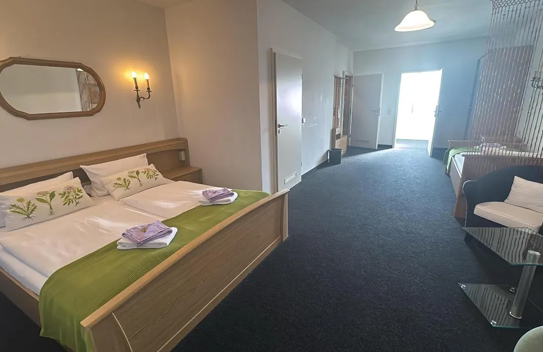Hotel Torgauer Brauhof-1