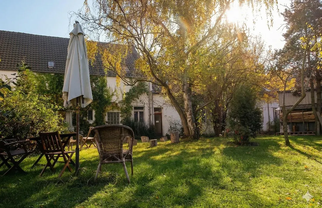 Rhein River Guesthouse - Direkt Am Rhein-1