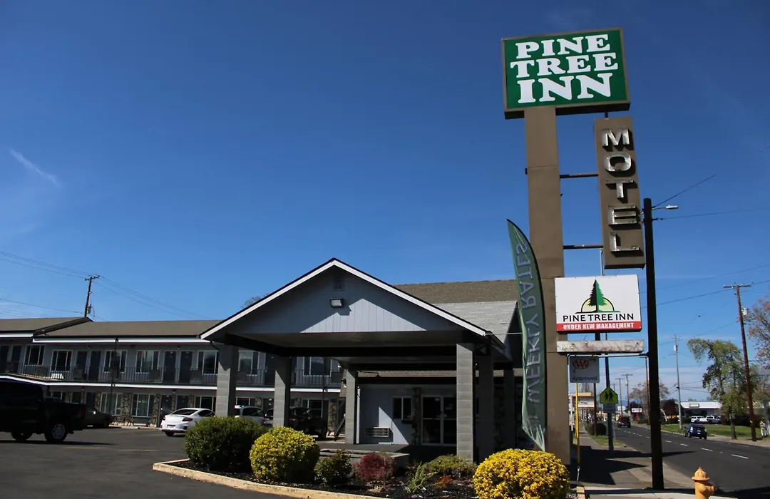 Pine Tree Inn-1
