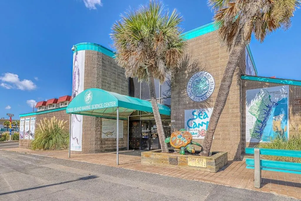 Tybee Stars-1