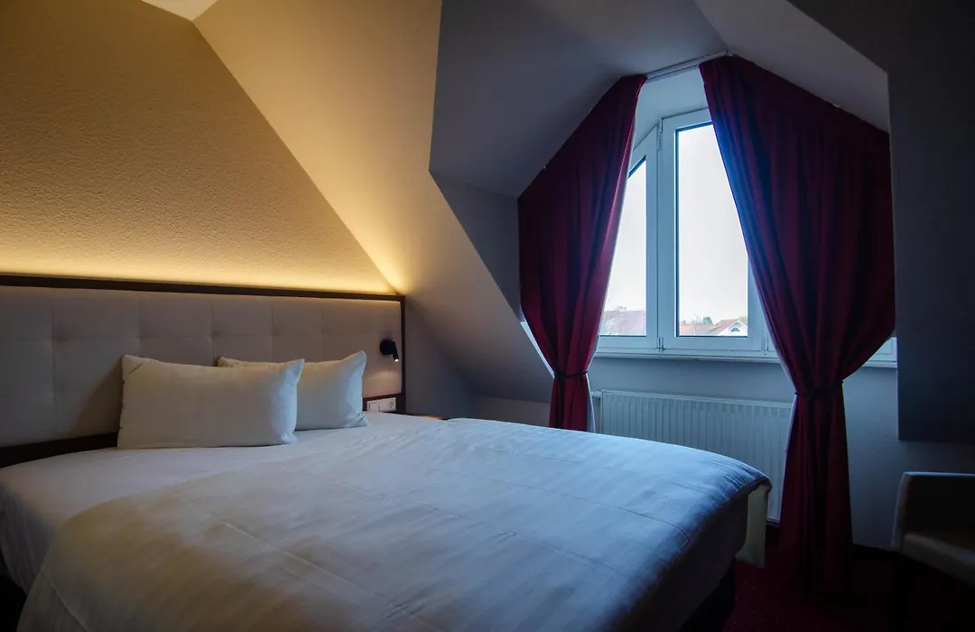 Hotel Alina-1