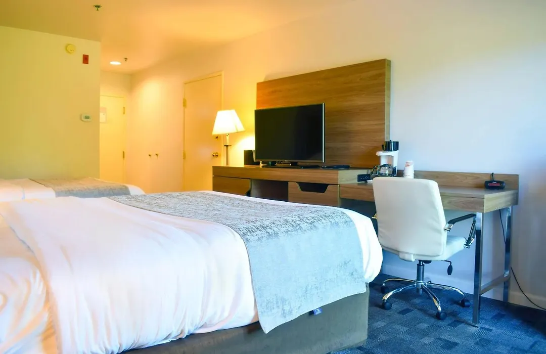 Comfort Inn Bellingham-1