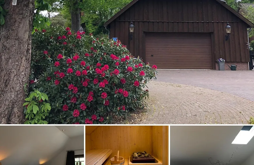 B&B De Drentse Es-1