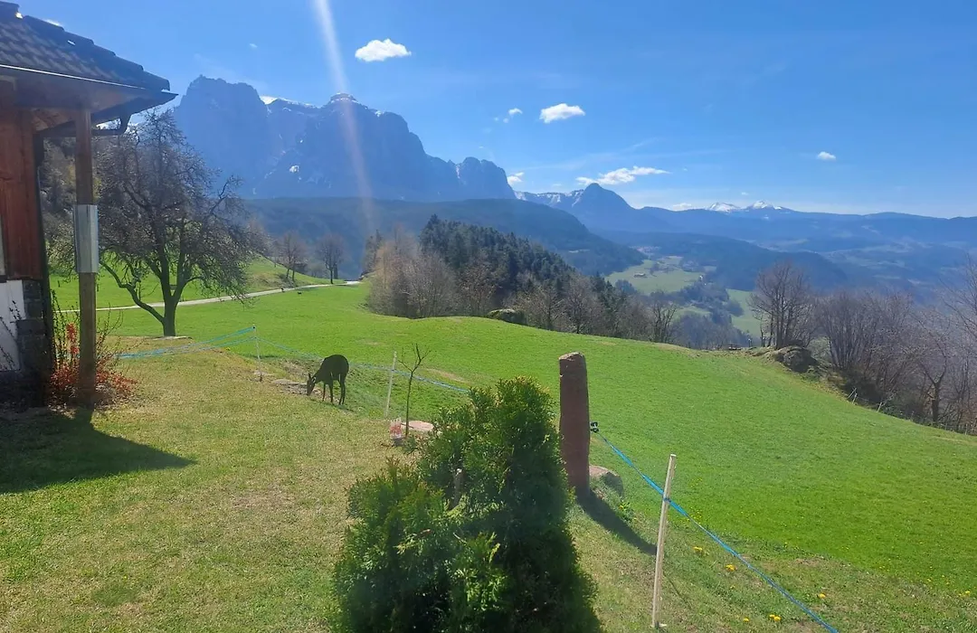 B&B Gasthaus Lieg-1