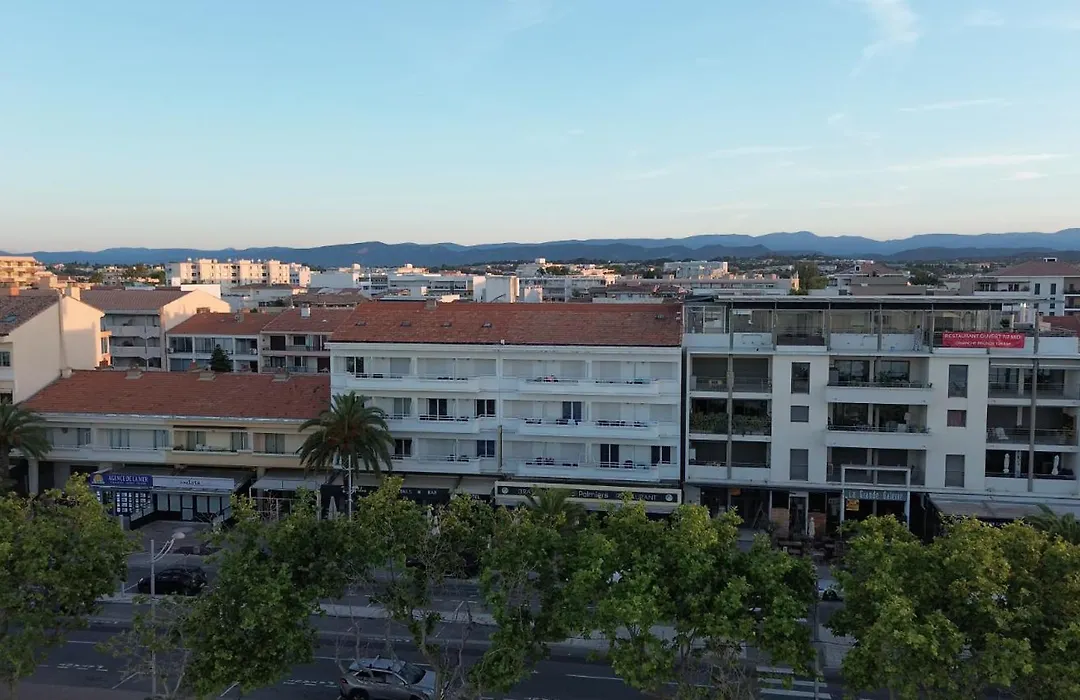 Les Palmiers-1